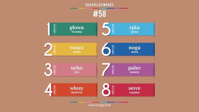 #58 - ПОЛЬСКИЙ ЯЗЫК - 500 основных слов. Изучаем польский язык самостоятельно смотреть онлайн