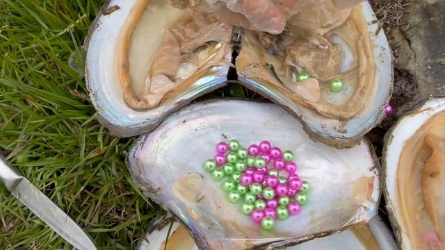 Large shells were picked up in the wild, light green pearls and pink pearls mixed together смотреть онлайн