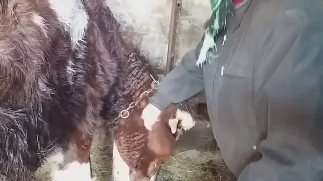 Моя домашняя продукция и рынок смотреть онлайн