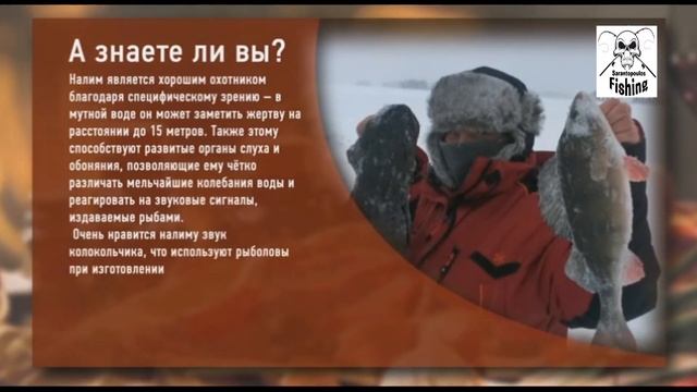 Рыбный день14 Хе из налима Ημέρα μαγειρέματος ψαριών14 Part1 смотреть онлайн