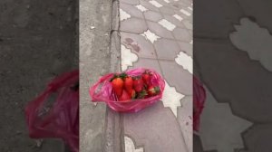 Хасбик и Клубника???