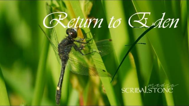 Return to Eden Part 7 - The Makeover смотреть онлайн