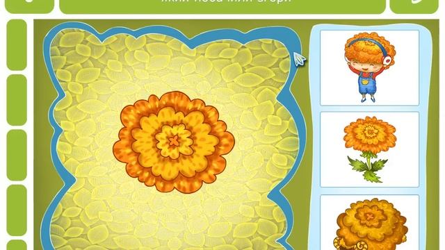 Природні явища.  дощ