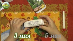 Посев семян в улитки/рулоны.