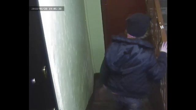 Очередная белочка у соседа смотреть онлайн