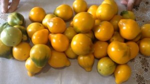 Томат  "Жёлтый трюфель".