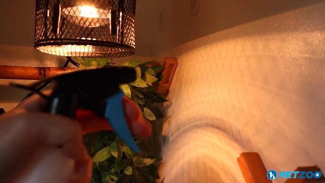 How To Use Veterinary Disinfectant Cleaner | In a Green Tree Python Terrarium смотреть онлайн