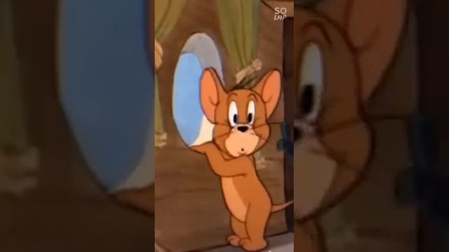 Мини мальчик йоркширского терьера ? Беби фейс В ожидании любящих родителей❤️ #йорк #щенкийорка смотреть онлайн