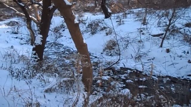 МАТЬ САМВЕЛА ВЫГОНЯЕТ НАДЮ В НЕДОГАРКИ. НАДЯ ОТРИЦАЕТ ЧТО ОТБИЛА ТОЛЮ И ЗАБРАЛА КВАРТИРУ смотреть онлайн