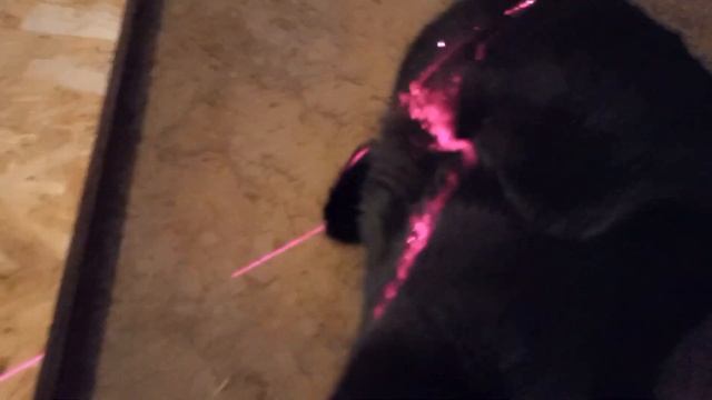 Будем делать ремонт. смотреть онлайн