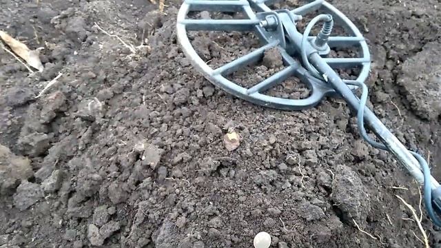 Коп с Фортуной М3 Я нашел её !!!!!!!!!!!!!!!! смотреть онлайн