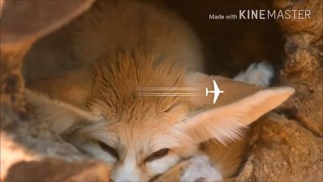 Добро пожаловать в сказку... смотреть онлайн