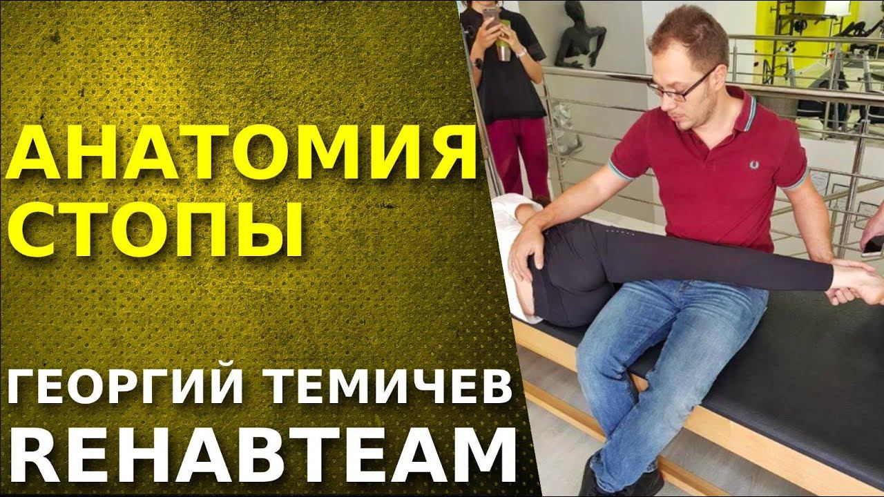 Анатомия стопы. Запись с семинара Основы физической реабилитации.