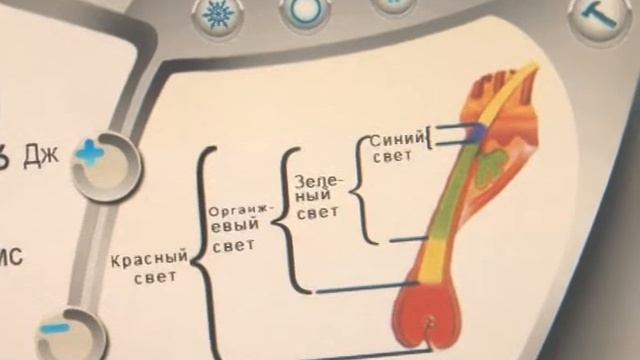 EPILYACIA смотреть онлайн