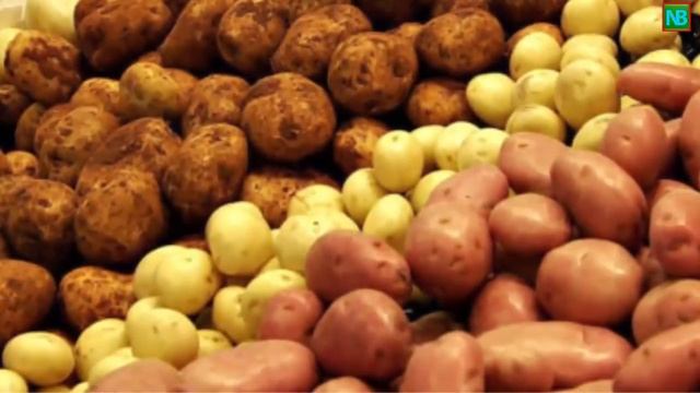 ТОП 27 СПОСОБОВ, КАК ЗИМОЙ ЗАРАБОТАТЬ В ДЕРЕВНЕ И НА СЕЛЕ. ОТ КАНАЛА «НАРОДНЫЙ БИЗНЕС» смотреть онлайн