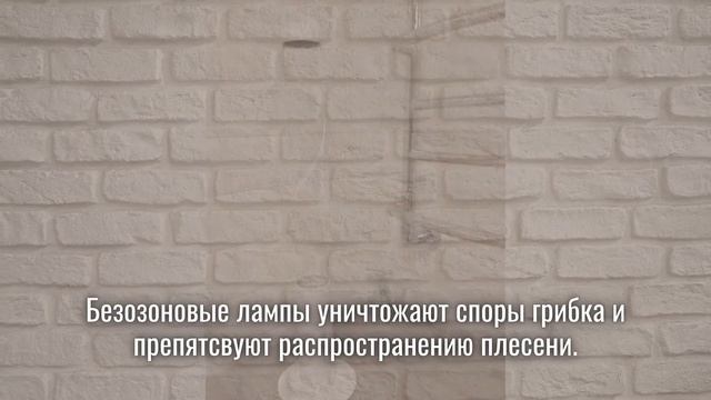 Бактерицидная лампа и рециркулятор для дома. Польза или вред? | Здоровый Свет смотреть онлайн