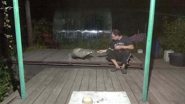 Дачный барсук. Приручение #14 смотреть онлайн