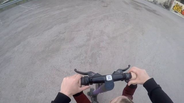 Колесо обозрения. Новосибирск. Прогулка на самокатах.