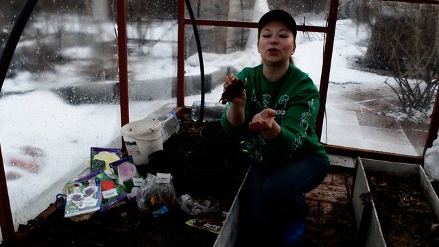 Как ускорить цветение канны? Обзор сортов. Когда сажать канну? смотреть онлайн