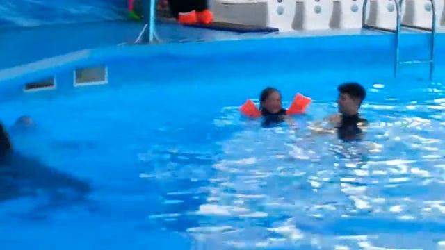 Мой танец с дельфином) Дельфин танцует со мной! смотреть онлайн