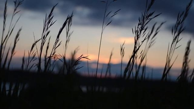 Исцеляющая музыка c Сольфеджио 174 Гц и Дельта волнами для отдыха, сна, медитации смотреть онлайн