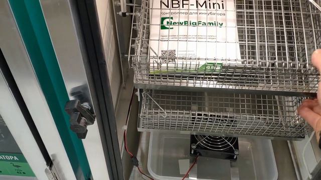 Инкубатор NBF-80 смотреть онлайн