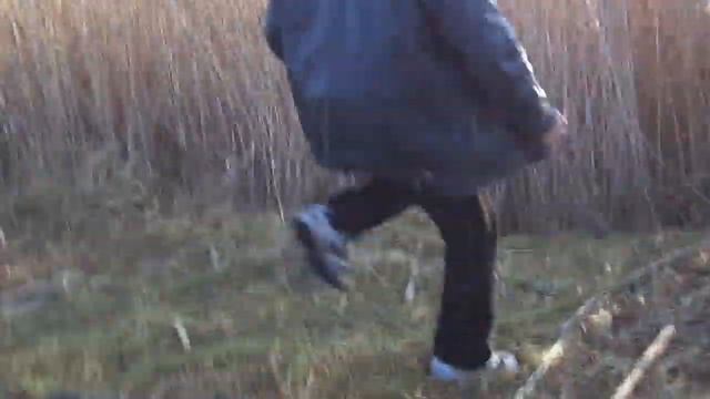 Ловля усатых синиц,синиц-ремезов, камышовых овсянок.mp4 смотреть онлайн