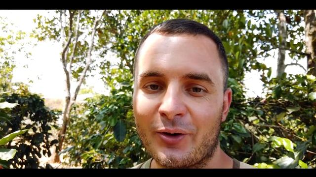 Wonderful Vietnam: Кофейные плантации Далата. Как производят самый дорогой кофе в мире во Вьетнаме