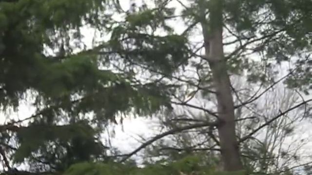 Angry Bird free flying AGAIN смотреть онлайн