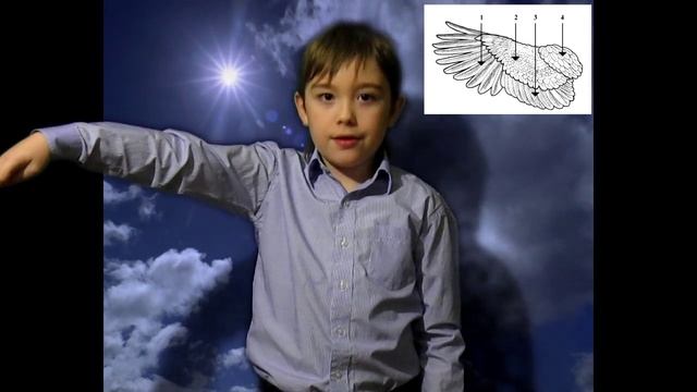 Почему люди не летают!!! смотреть онлайн