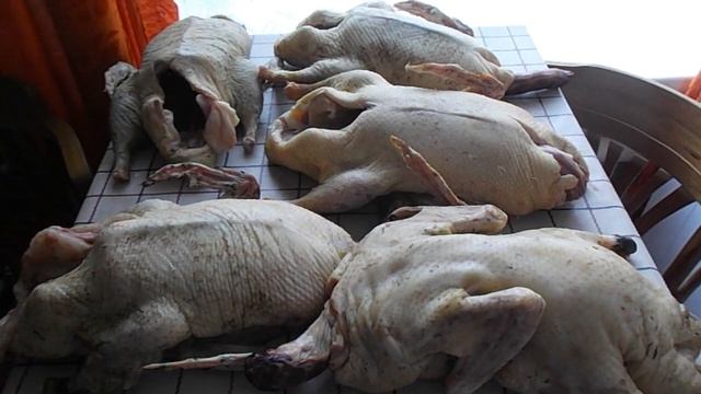 Забой и вес утки Голубой фаворит в возрасте 110 дней. Себестоимость утки. смотреть онлайн