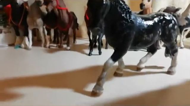и снова новый лошади Давайте же вместе на них посмотрим
