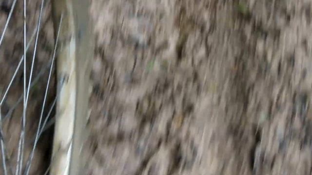 На велосипеде по лесной просеке в районе Серпухова смотреть онлайн
