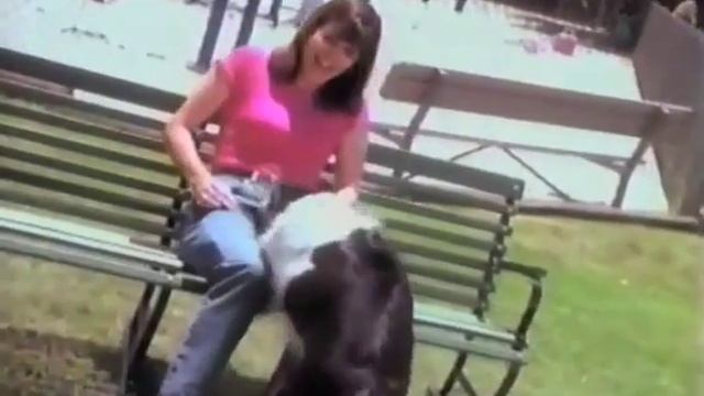 Потрясающе! Девушка и собака! смотреть онлайн