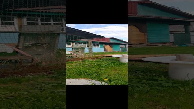 Собачий  релакс