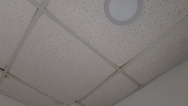 Hotel Colonial Blanco трэш гостиница или нет? Санто-Доминго, Доминикана. смотреть онлайн