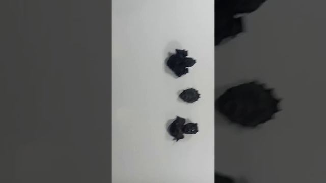 Археологический музей|Болгария смотреть онлайн