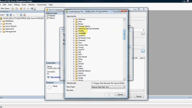 How to restore database in SQL Server Management Studio смотреть онлайн