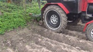 Окучник на трактор Т25. Первая обгонка картофеля.