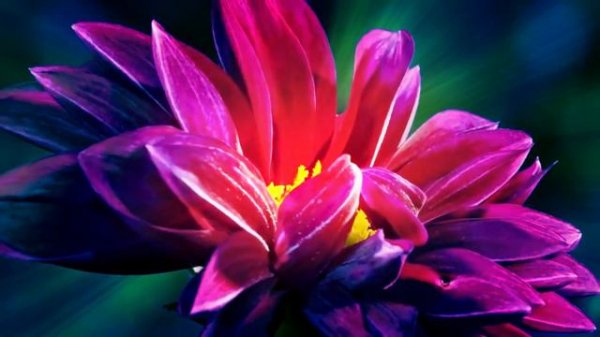 О Душах растений  -  Послание Крайона