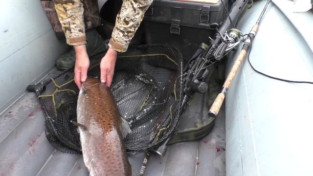 Летняя трофейная рыбалка на горной смотреть онлайн