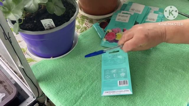 Ура! Пришли семена из Садов России семена томатов от подписчицы. смотреть онлайн