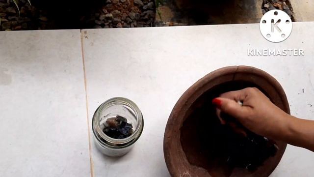 #How_to_grow #money_plant_in_water |Indoor Money Plant Care | Beginners Guide