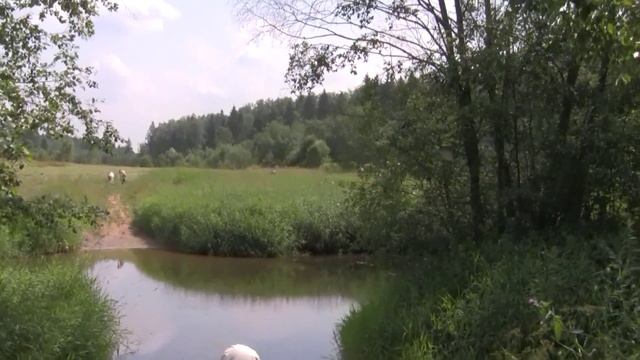 Река Клязьма у д.Клушино смотреть онлайн