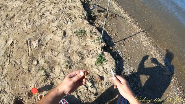 Сазан на Робин Ред и Макуху. Демонстрация с подводным видео!!!! ePN смотреть онлайн