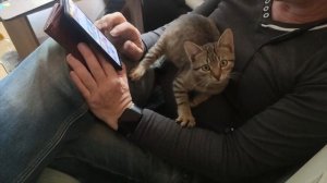 ПРИШЛА СОСЕДКА И ПРИНЕСЛА НАМ ЕДУ???