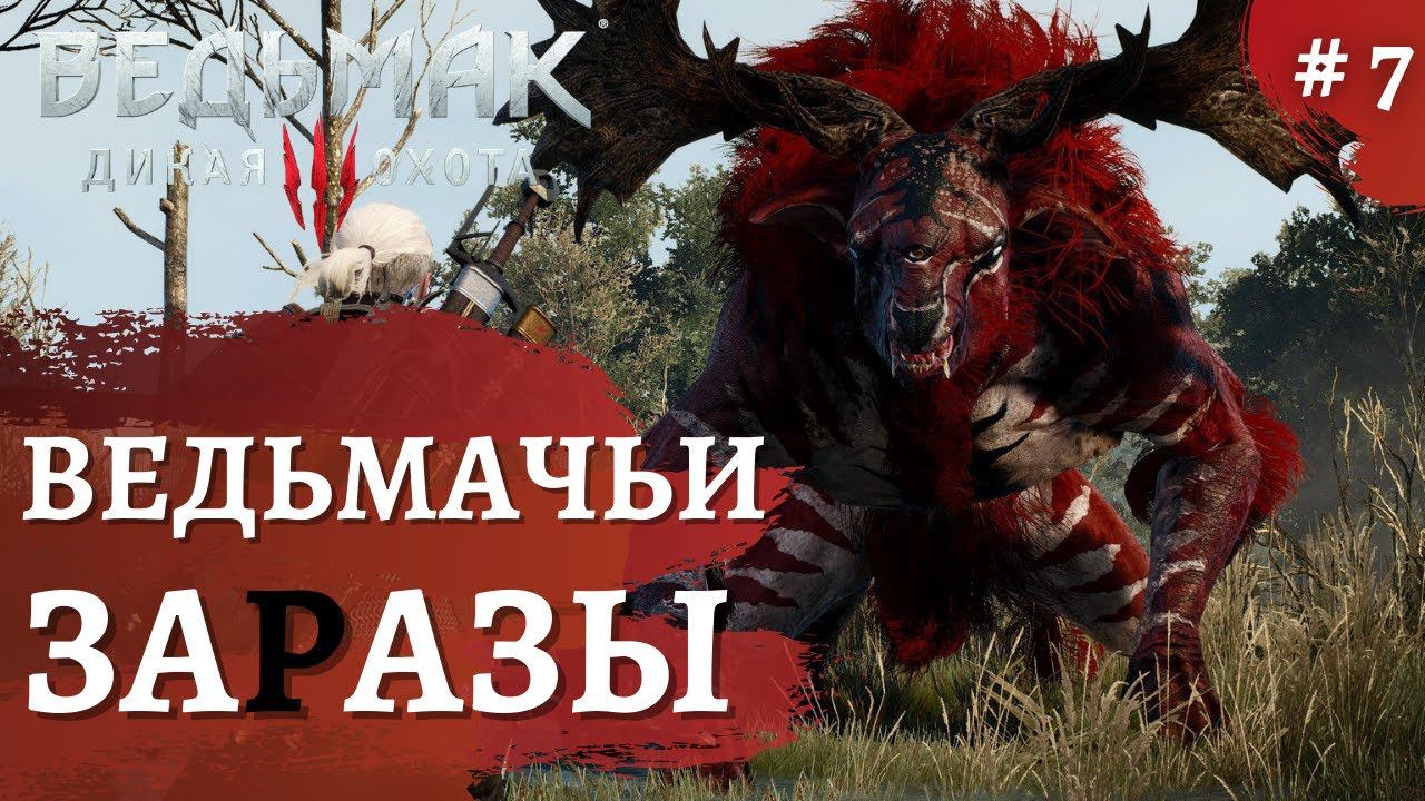 Ведьмак 3 Дикая охота ➤ Ведьмачьи заказы ➤ # 7 ➤ The Wicher 3 смотреть онлайн