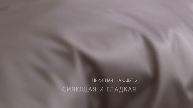 Египетский хлопок Графитовый с кантом повышенной плотности 100S смотреть онлайн