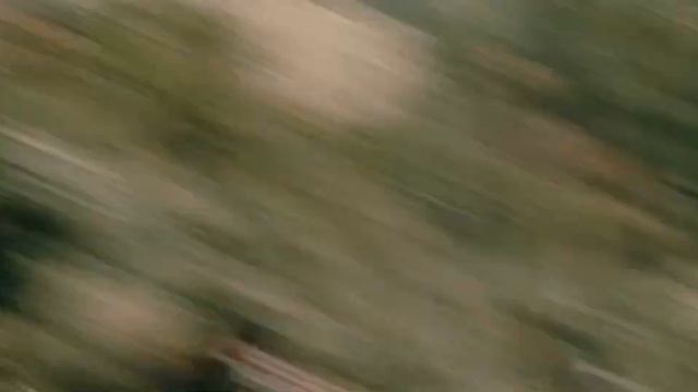 Мумакилы. Фарамир пленит Фродо, Сэма и Голума. смотреть онлайн