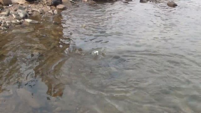 хариус на урале смотреть онлайн